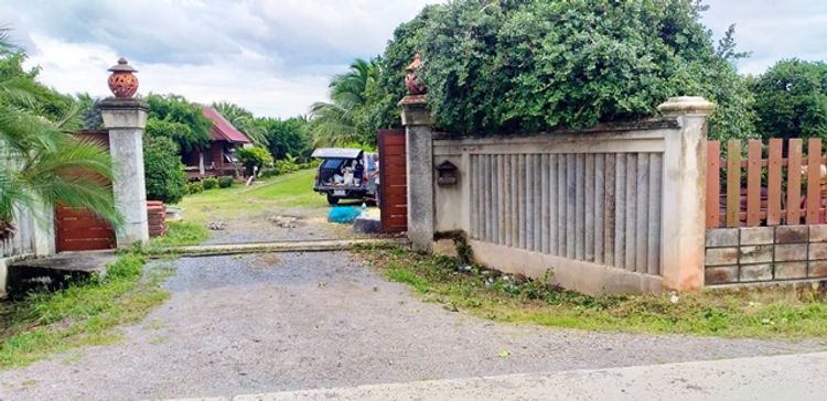 บ้านแพ้ว สมุทรสาครร้านอาหาร สวนมะพร้าว 1ไร่ ถ.กว้าง   สะพานท่าจีน 2, ภาพที่ 4
