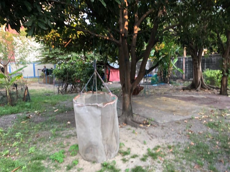 พื้นที่ให้เช่า สุขุมวิท 50 สำหรับทำธุรกิจได้หลายอย่าง Land for rent 584, ภาพที่ 4
