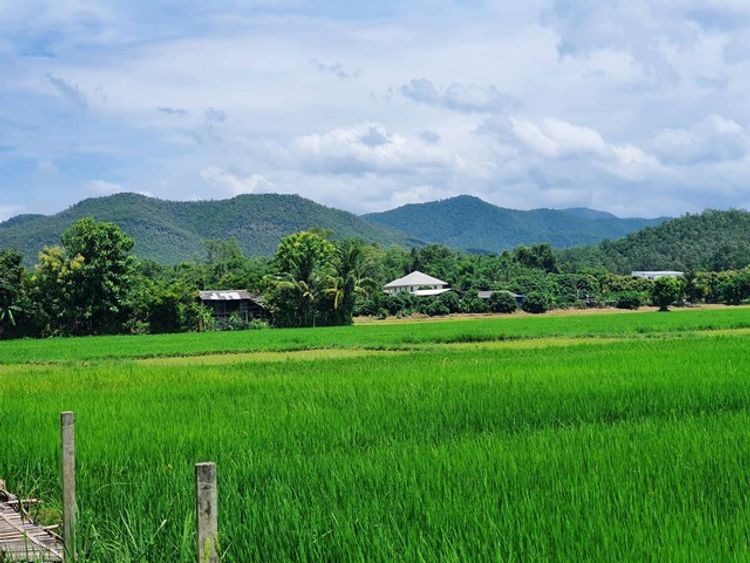 ขายที่ดินเริ่ม 100ตรว.600,000บาท ผ่อนได้ รวมสาธารณูปโภคและถมที่, ภาพที่ 4