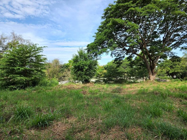 ขายที่ติดน้ำเขาใหญ่ 1 ไร่ 2 งาน ที่ติดน้ำวิวสวย ขนงพระ ปากช่อง ร่มรื่น, ภาพที่ 4