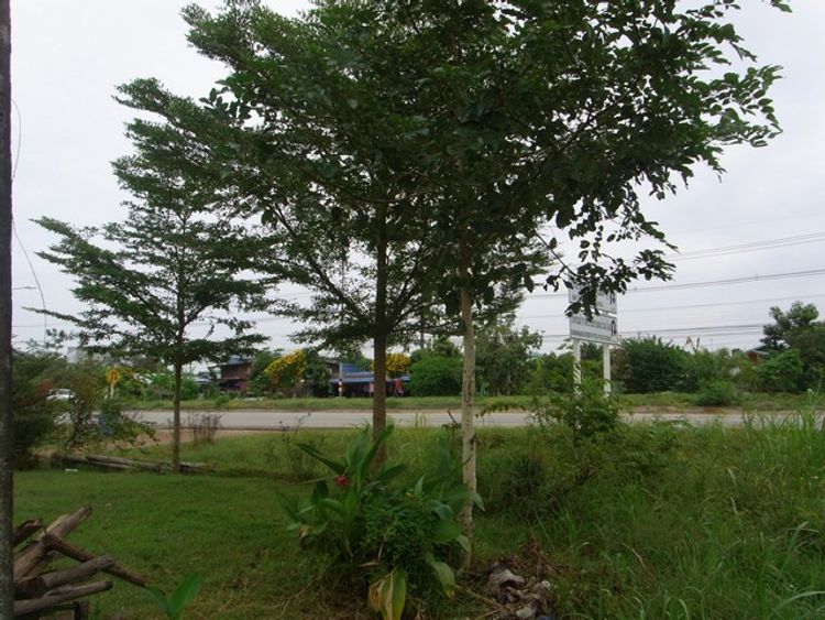 ที่ดิน  7.5 ไร่ ติดสหกรณ์โคนมวังน้ำเย็นจำกัด (ศูนย์คลองหินปูน) สระแก้ว, ภาพที่ 4