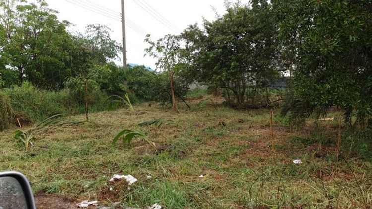 ที่ดิน ที่ดิน ลำโพ พท. 0 RAI 1 ngan 40 sq.wa 2800000 BAHT ใกล้กับ 1. 2., ภาพที่ 4