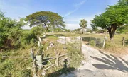 KM101 Land For Rent ที่ดิน 3 ไร่ พื้นที่สีเหลือง ซอยกรุงเทพกรีฑา31 แยก4-1