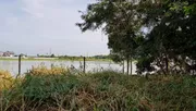 ขายที่ริมน้ำเจ้าพระยา สามโคก ปทุมธานี 359ตร.ว ใกล้ธรรมศาสตร์รังสิต สร้างเขื่อนแล้ว ถมแล้ว ติดถนนคอนกรีต เดินทางสะดวก เหมาะสร้างบ้านพัก ใกล้เส้นปทุม-บางปะหัน 