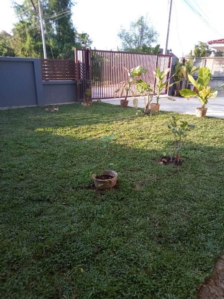 บ้านให้เช่าย่านหารแก้ว หางดง บ้านเบญจรงค์ บรรยากาศธรรมชาติ , ภาพที่ 4