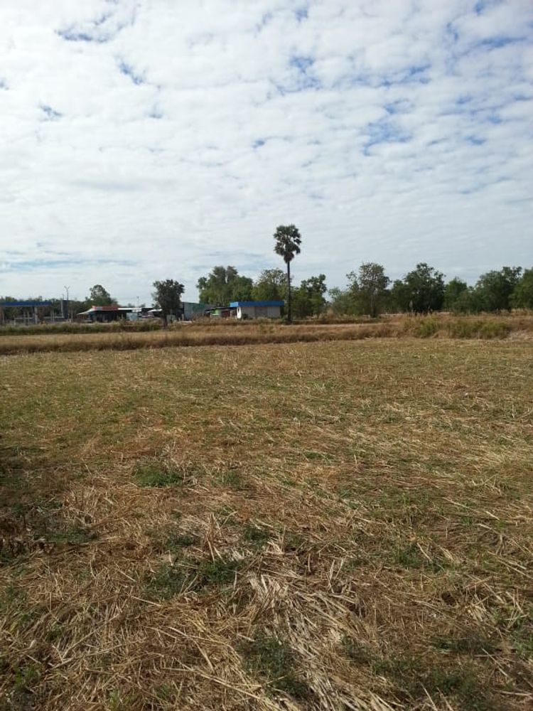 ขายและให้เช่า ที่ดิน ตำบลสำโรง อำเภอสำโรง จังหวัดอุบลราชธานี, ภาพที่ 4
