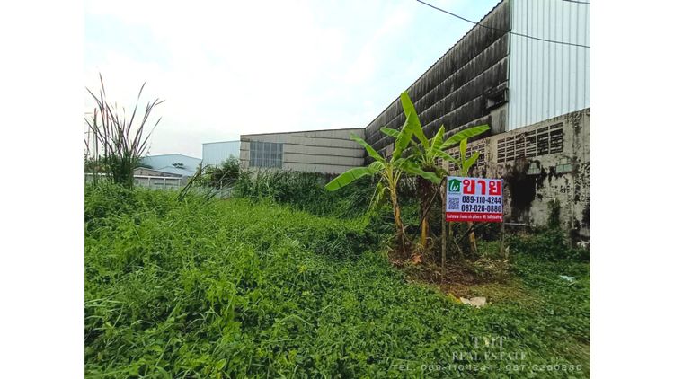 ขาย ที่ดิน แขวงแสมดำ เขตบางขุนเทียน กรุงเทพมหานคร, ภาพที่ 4