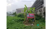 ขาย ที่ดิน แขวงแสมดำ เขตบางขุนเทียน กรุงเทพมหานคร