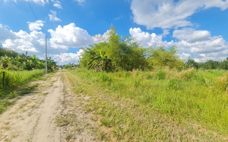 ขาย ที่ดิน ซอย 11 ฝั่งสาย 15 ตำบลพนานิคม อำเภอนิคมพัฒนา จังหวัดระยอง, ภาพที่ 4