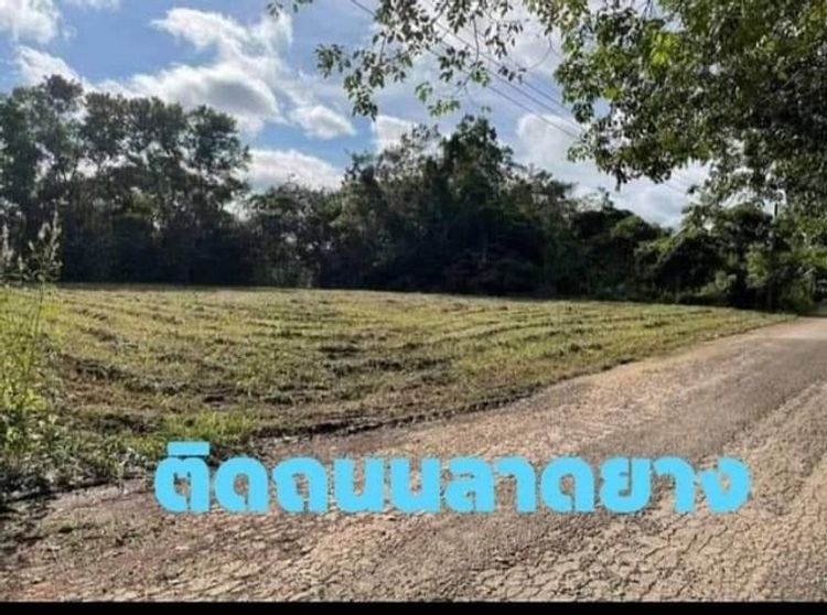 ขายที่ดินแปลงเล็ก ที่ดินเปล่าราคาหลักแสน ถมแล้ว ติดถนน เหมาะปลูกบ้าน, ภาพที่ 4