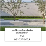 ขาย ที่ดิน ตำบลสะเตงนอก อำเภอเมืองยะลา จังหวัดยะลา