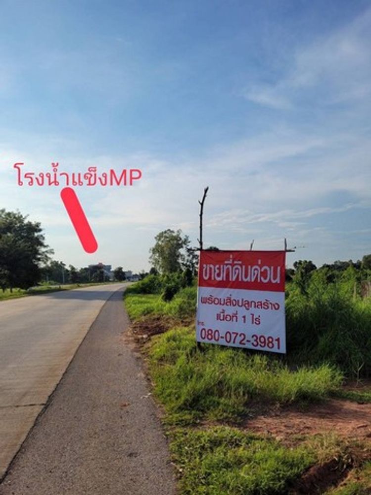 ขายด่วน ที่ดินพร้อมสิ่งปลูกสร้าง ถ.290 ตัดใหม่ ต.นากลาง อ.สูงเนิน, ภาพที่ 4
