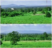 ขายที่เขาใหญ่ 15 ไร่ วิวสวย หนองสาหร่าย ปากช่อง-เขาใหญ่ ติดลาดยาง ใกล้เส้น 2235 เพียง 600ม. ทำเลดีมาก เหมาะสร้างบ้าน รีสอร์ท แบ่งแปลงขาย ขายถูกที่สุด 0879074045