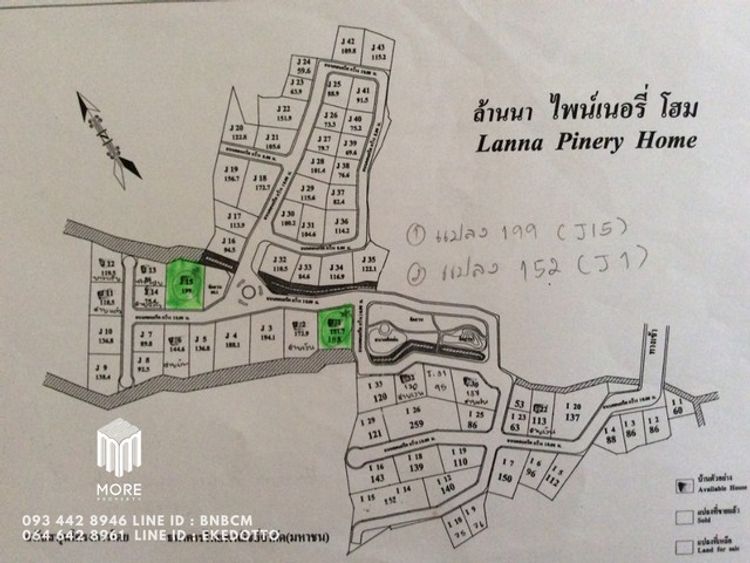 MORE-041LS ขายที่ดิน 199 ตารางวา ในหมู่บ้าน ล้านนาไพน์เนอรี่โฮม, ภาพที่ 4