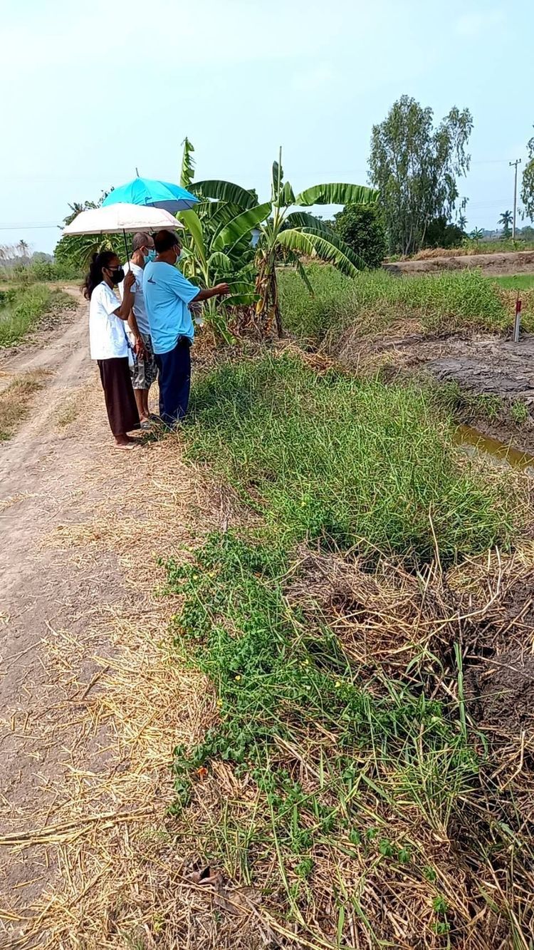 ขายที่ดินเปล่า 2 ไร่ อำเภอไทรน้อยบางบัวทอง จังหวัดนนทบุรี, ภาพที่ 4