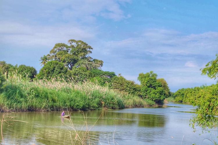 ขายด่วน!! บ้านสวนพร้อมที่ดิน หลังบ้านติดแม่น้ำท่าจีน ในอำเภอเมืองสุพรรณ, ภาพที่ 4