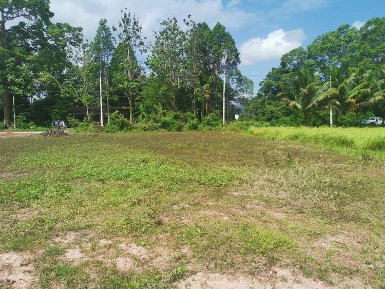 ขาย ที่ดิน ตำบลตำนาน อำเภอเมืองพัทลุง จังหวัดพัทลุง, ภาพที่ 4