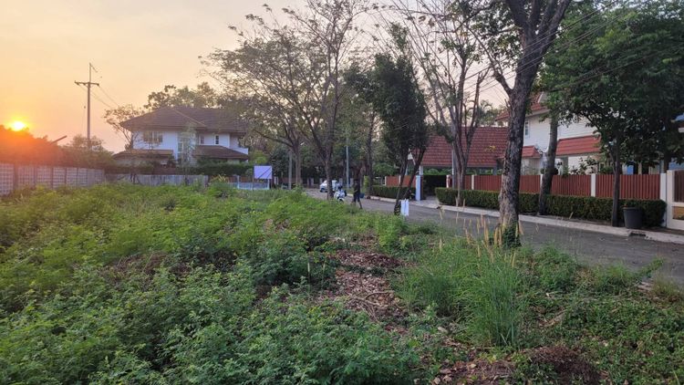 ขายด่วน ที่ดินในโนเบิล อุทยาน ติดถนนอักษะ 105 ตรว. แปลงสวย เดินทางสะดวก, ภาพที่ 4