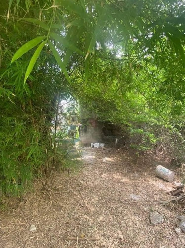  ขายที่ดิน 210 ตรว ถนนบางกระดี่ซอย25 ย่านโรงงานอุตสาหกรรม แหล่งคนอาศัย, ภาพที่ 4