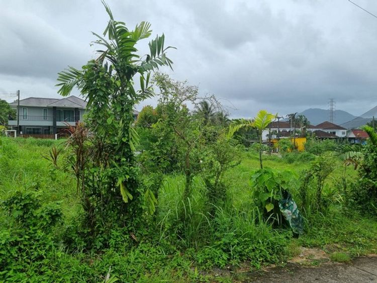 For Sales : Kathu, Land at Chalekeeree (75), 69.70 sqw., ภาพที่ 4