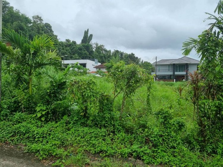 For Sales : Kathu, Land at Chalekeeree (72), 70.40 sqw., ภาพที่ 4