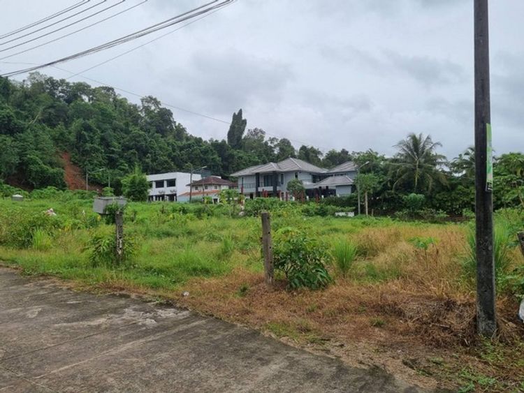 For Sales : Kathu, Land at Chalekeeree (71), 70 sqw., ภาพที่ 4