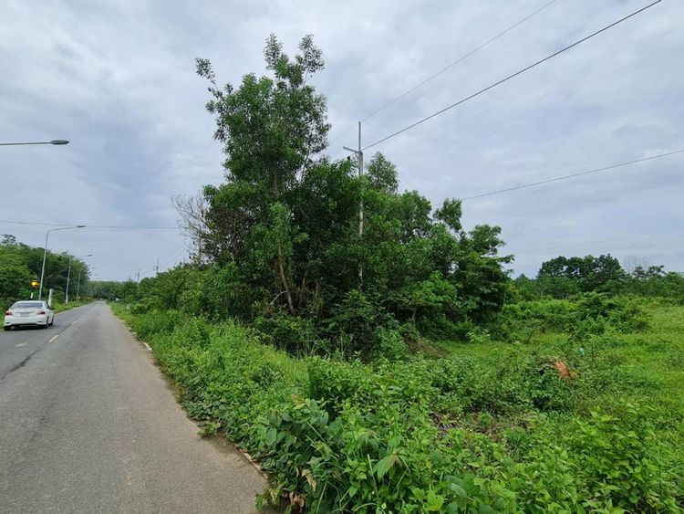 ขายที่ดิน52 ตร.ว.หาดใหญ่ จ.สงขลา หน้ากว้างติดถนนยังไม่ถม, ภาพที่ 4