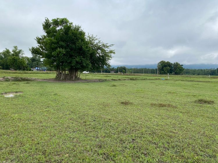 ขาย ที่ดิน ตำบลทุ่งนางาม อำเภอลานสัก จังหวัดอุทัยธานี, ภาพที่ 4
