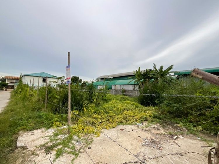 ขายที่ดิน ซ.เอกชัย 132  ที่ดิน 250 ตร.ว บางบอน เขตบางบอน กรุงเทพ 20 , ภาพที่ 4