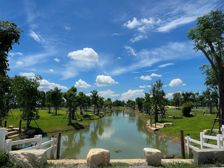 ขาย ที่ดิน ตำบลบ้านยาง อำเภอเมืองนครปฐม จังหวัดนครปฐม, ภาพที่ 4