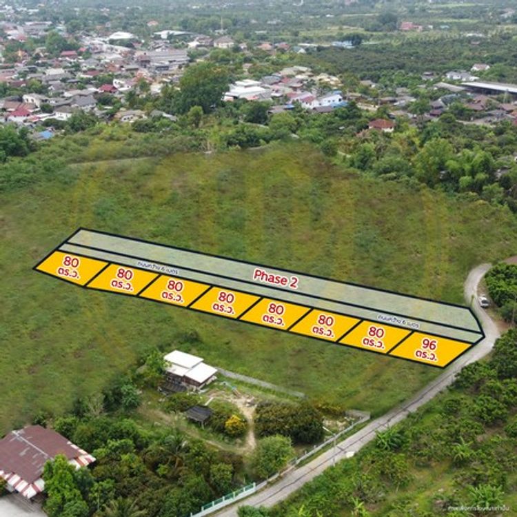 ที่ดินแบ่งแปลง 80-96 ตร.ว. ใกล้ตลาดหนองตอง เหมาะสำหรับทำบ้านพักอาศัย, ภาพที่ 4