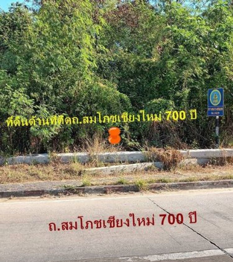 ขายที่ดิน 55,000 บาท/ตารางวา ติดถนนซุปเปอร์ไฮเวย์ เชียงใหม่-ลำปาง 14 89, ภาพที่ 4