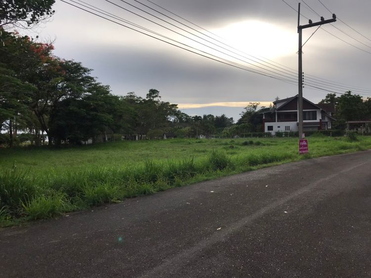 ขายที่ดินจัดสรร โครงการ บ้านเนินน้ำ ขนาด 208 ตารางวา ต.ตะเคียนเตี้ย, ภาพที่ 4