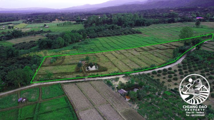 ขาย ที่ดิน 8ไร่2งาน72ตรว. ตำบลเมืองงาย อำเภอเชียงดาว จังหวัดเชียงใหม่, ภาพที่ 4