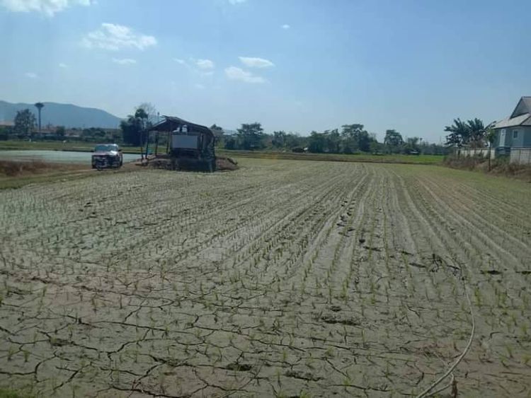 ขายที่ดิน อยู่ใกล้เซ็นทรัลเชียงราย ใกล้โฮมโปร และสนามบินเชียงราย 081, ภาพที่ 4