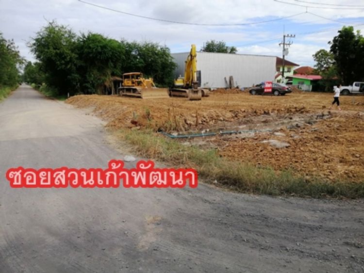 ที่ดินลำลูกกาให้เช่า ที่ดินลำลูกกา ที่ดินติดถนนลำลูกกาคลอง 9, ภาพที่ 4