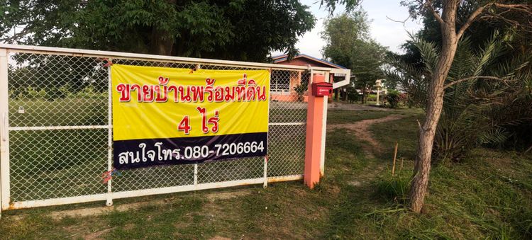 ขายที่ดินพร้อมบ้าน ติดถนนหลัก ตำบลบ้านเพชร อำเภอบำเหน็จณรงค์, ภาพที่ 4