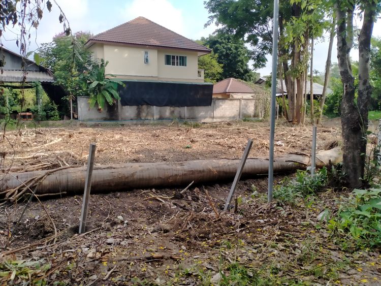 ขาย ที่ดิน ตำบลหนองควาย อำเภอหางดง จังหวัดเชียงใหม่, ภาพที่ 4