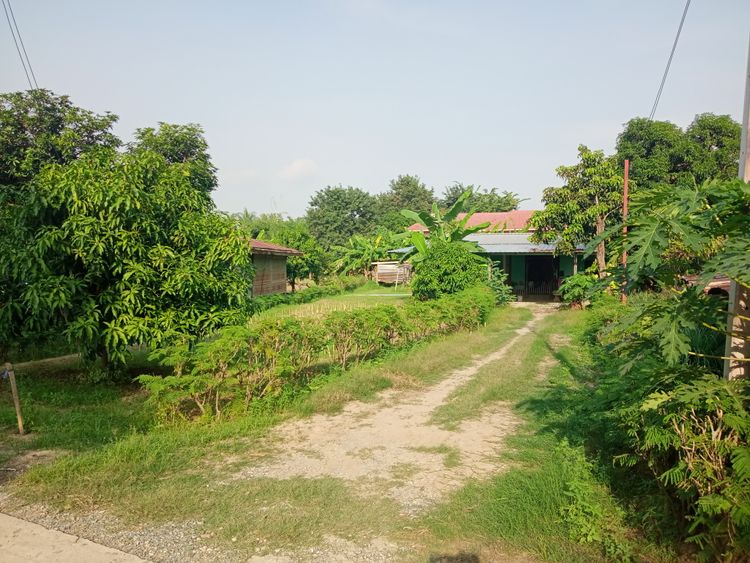 ขาย บ้าน ในโครงการ บ้านเดี่ยว ตำบลเขาดิน อำเภอเก้าเลี้ยว, ภาพที่ 4