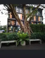 ให้เช่าทาวน์โฮม Haus 35  แจ้งวัฒนะ-ปากเกร็ด 35   มี 3.5 ชั้น