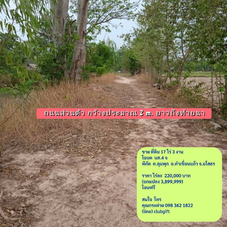 ขาย ที่ดิน 17 ไร่ 3 งาน ตำบลลุมพุก อำเภอคำเขื่อนแก้ว จังหวัดยโสธร, ภาพที่ 4