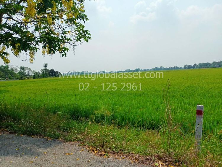  ที่ดิน ตำบลบางเตย อำเภอสามโคก จังหวัดปทุมธานี, ภาพที่ 4