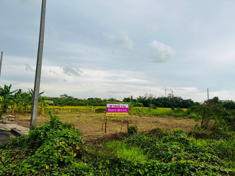 ขาย ที่ดิน ตำบลระแหง อำเภอลาดหลุมแก้ว จังหวัดปทุมธานี, ภาพที่ 4