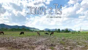 ที่ดินวิวเขา (โฉนด )  2 ไร่  @ท่าม่วง  น้ำประปา ไฟฟ้า หน้าแปลง
