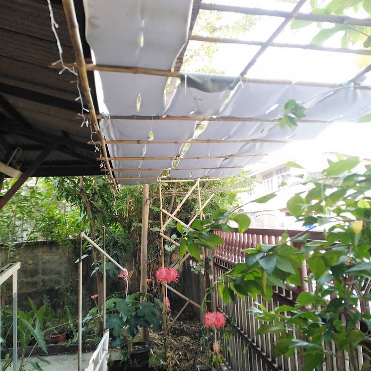 ขายที่ดินสร้างบ้าน 51 วา บางกรวย8 ใกล้การไฟฟ้าพระราม7, ภาพที่ 4