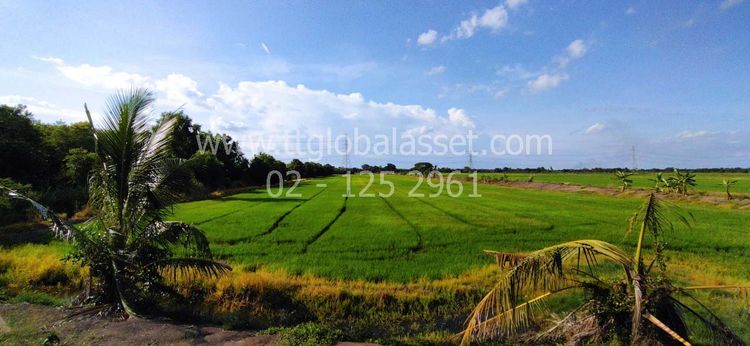 ที่ดิน/121 ไร่/ ซ.ร่วมใจ   , ภาพที่ 4