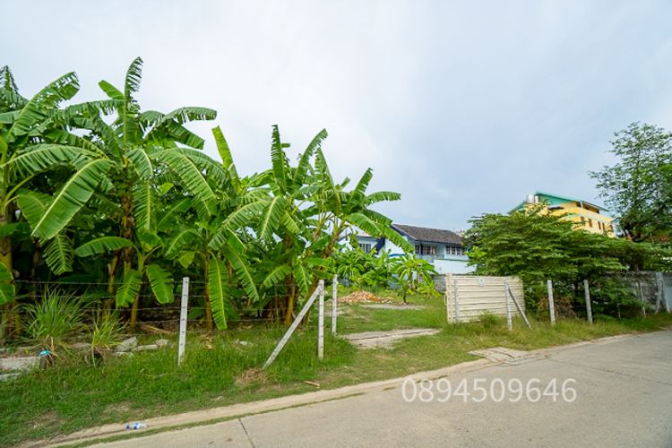 ขายที่ดิน สุคนธสวัสดิ์ 14 ขนาด 200 ตรว. หน้ากว้าง 25.5 เมตร 200 เมตร, ภาพที่ 4