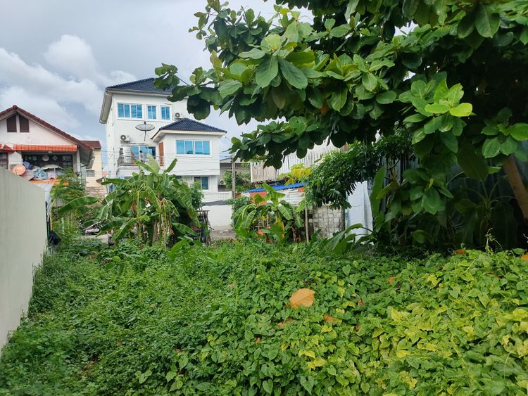 ขาย ที่ดิน แขวงบางบอนเหนือ เขตบางบอน กรุงเทพมหานคร, ภาพที่ 4