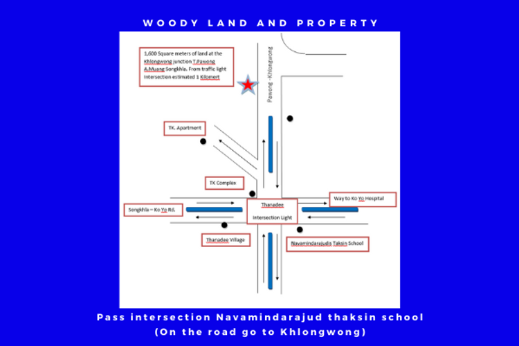 ขายและให้เช่า ที่ดิน 1 ไร่ ผ่านแยกไฟแดง ร.ร.นวมิทร์ฯ ตำบลพะวง, ภาพที่ 4