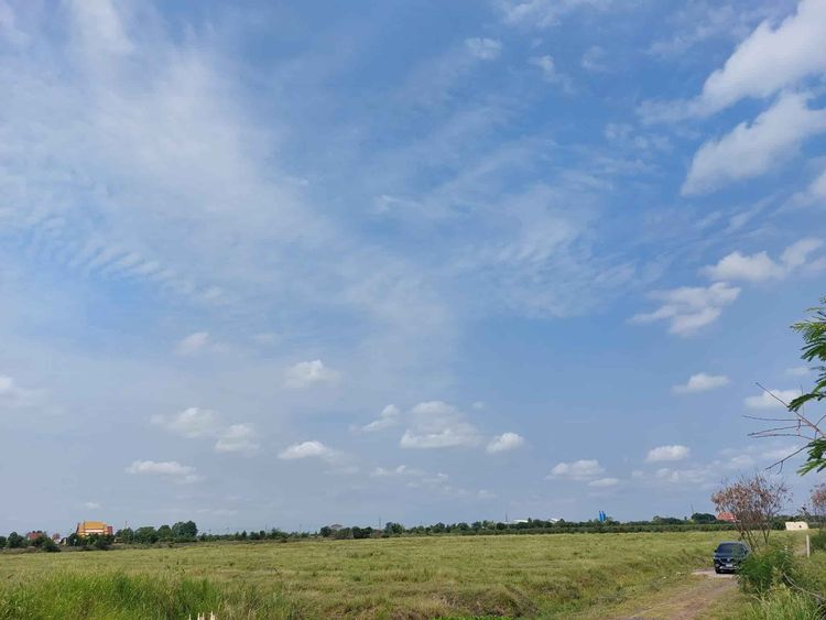 ถูกสุดในย่านนี้!!! ที่ดินแปลงสวยติดถนน ติดน้ำ ติดชุมชน อำเภอบ้านหมี่ , ภาพที่ 4